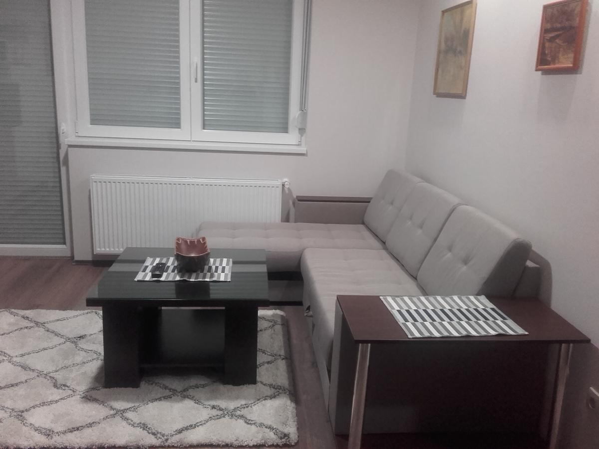 Appartamento "Sonja Apartman" Jagodina Esterno foto